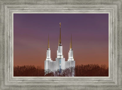 Washington DC Temple Evening Glow