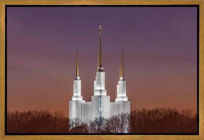 Washington DC Temple Evening Glow
