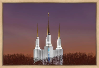 Washington DC Temple Evening Glow