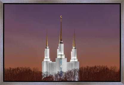 Washington DC Temple Evening Glow