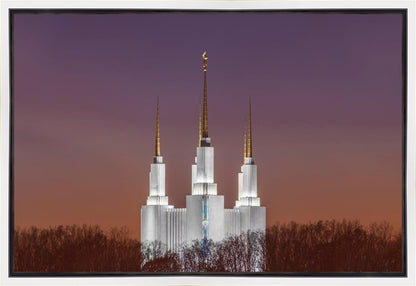 Washington DC Temple Evening Glow