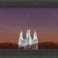Washington DC Temple Evening Glow
