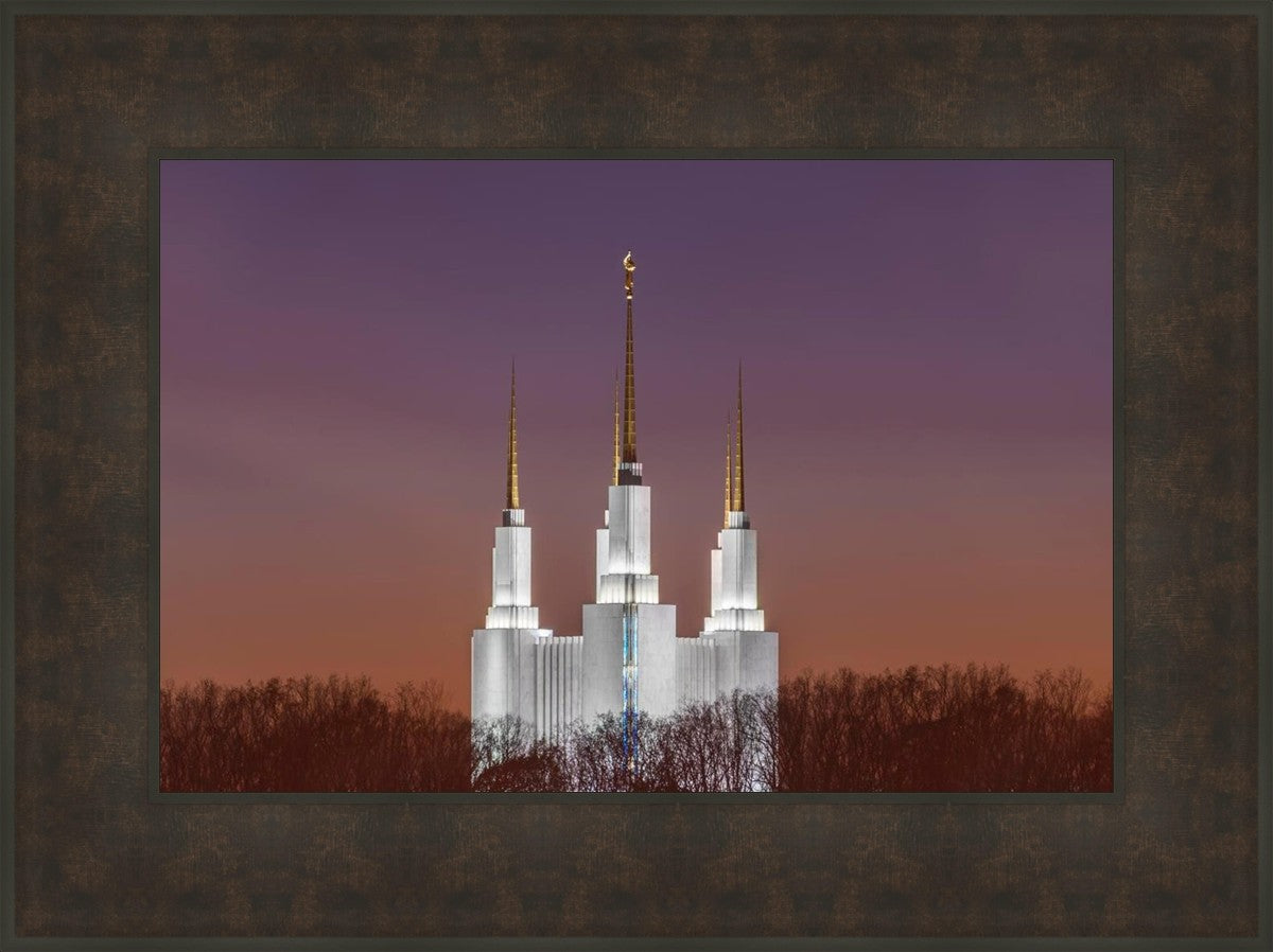 Washington DC Temple Evening Glow