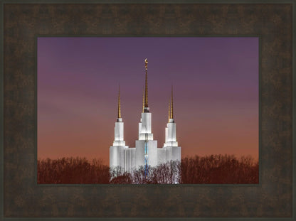 Washington DC Temple Evening Glow