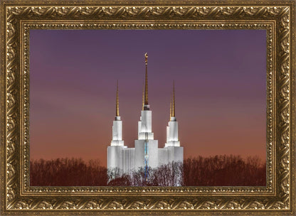 Washington DC Temple Evening Glow