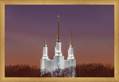 Washington DC Temple Evening Glow