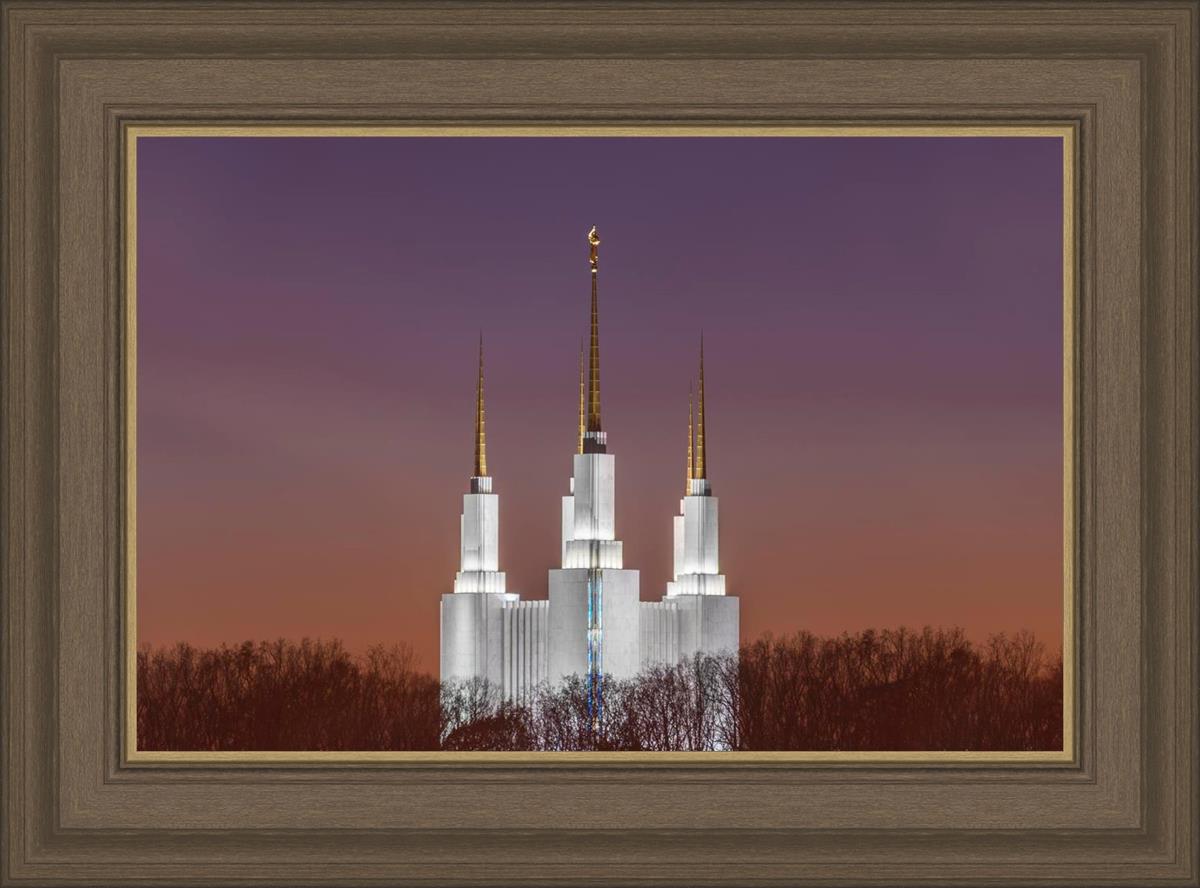 Washington DC Temple Evening Glow
