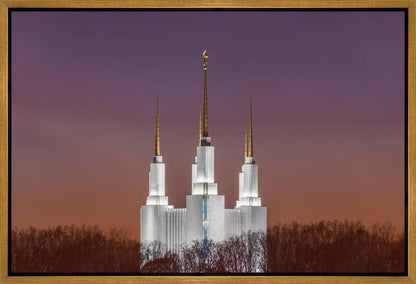 Washington DC Temple Evening Glow
