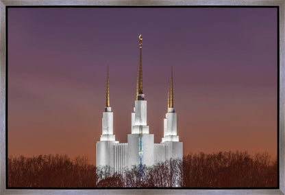 Washington DC Temple Evening Glow