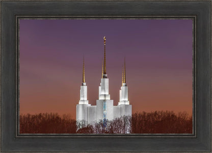 Washington DC Temple Evening Glow