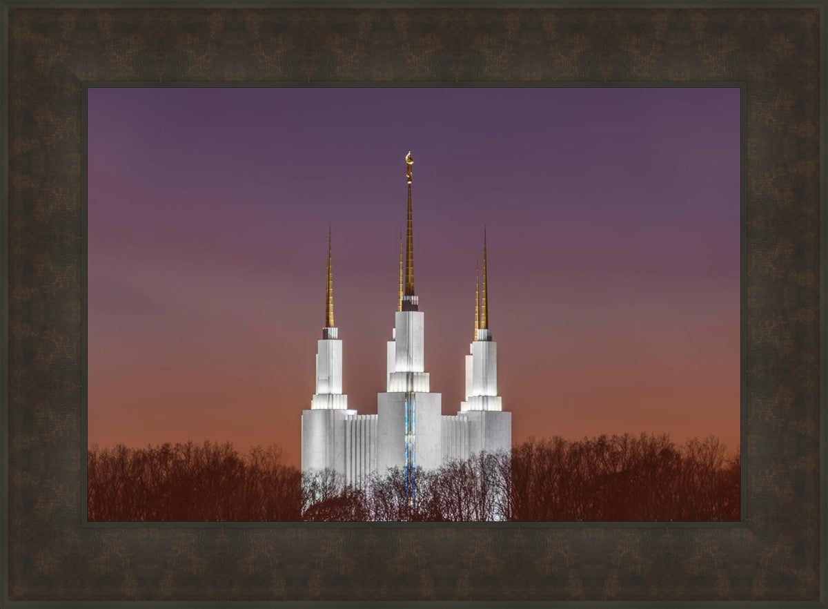 Washington DC Temple Evening Glow
