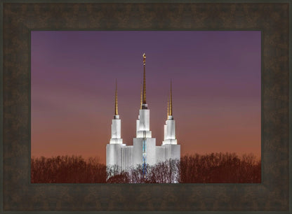 Washington DC Temple Evening Glow