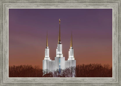 Washington DC Temple Evening Glow