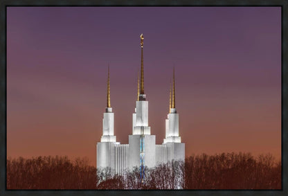 Washington DC Temple Evening Glow