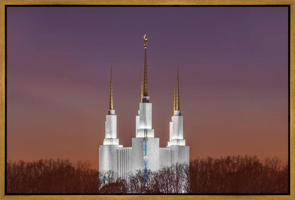 Washington DC Temple Evening Glow