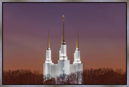 Washington DC Temple Evening Glow