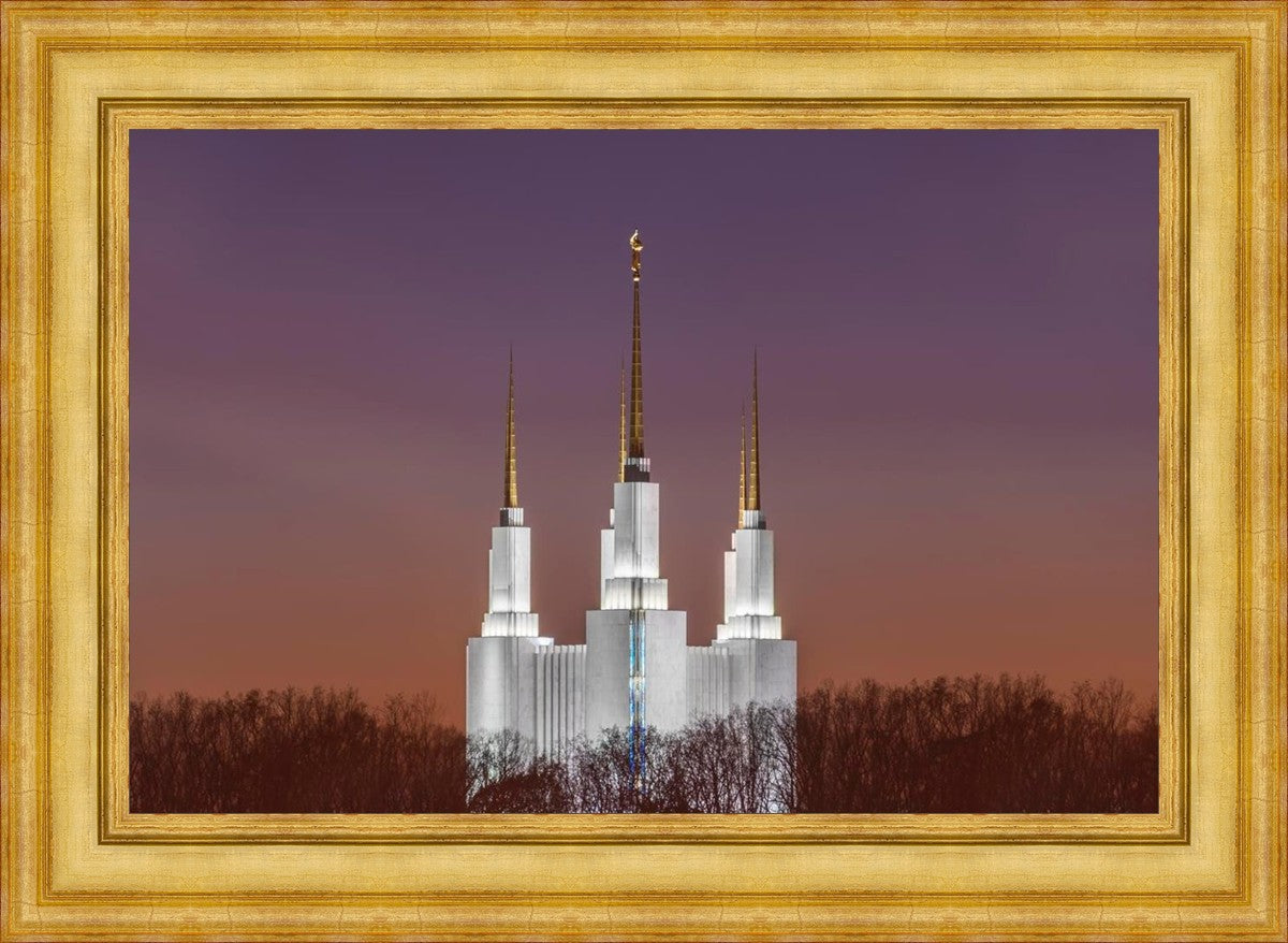 Washington DC Temple Evening Glow