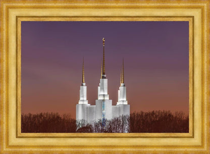 Washington DC Temple Evening Glow