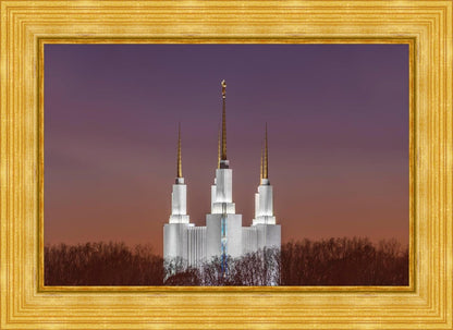 Washington DC Temple Evening Glow