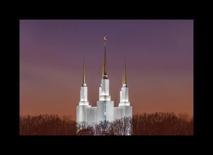 Washington DC Temple Evening Glow