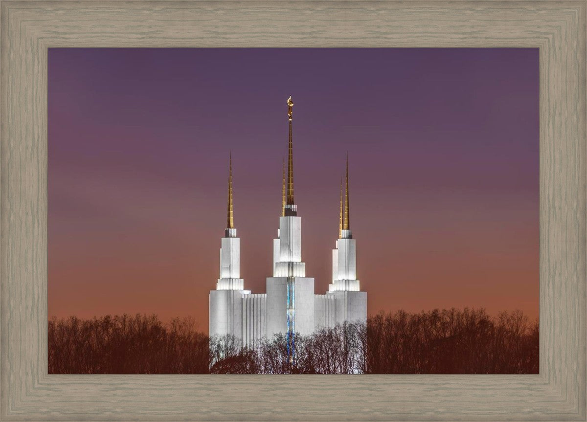 Washington DC Temple Evening Glow