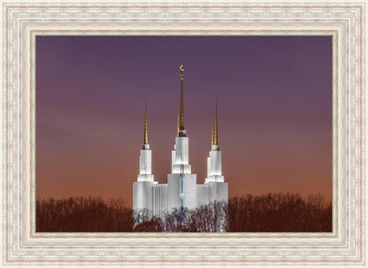 Washington DC Temple Evening Glow