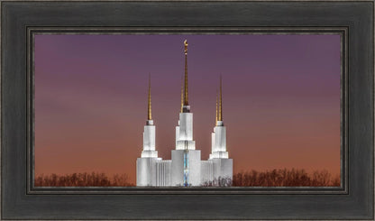 Washington DC Temple Evening Glow