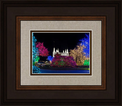 Washington DC Temple Colorful Christmas