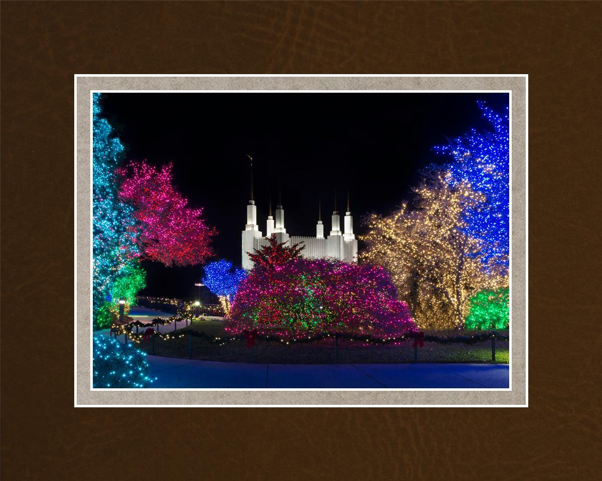 Washington DC Temple Colorful Christmas