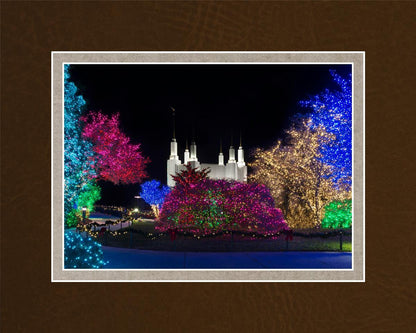 Washington DC Temple Colorful Christmas