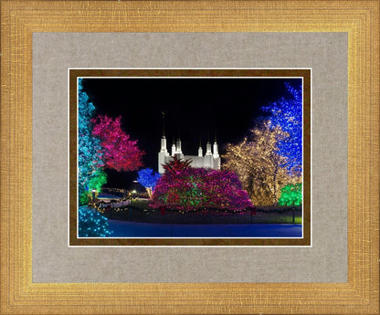 Washington DC Temple Colorful Christmas