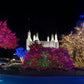 Washington DC Temple Colorful Christmas