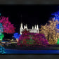 Washington DC Temple Colorful Christmas