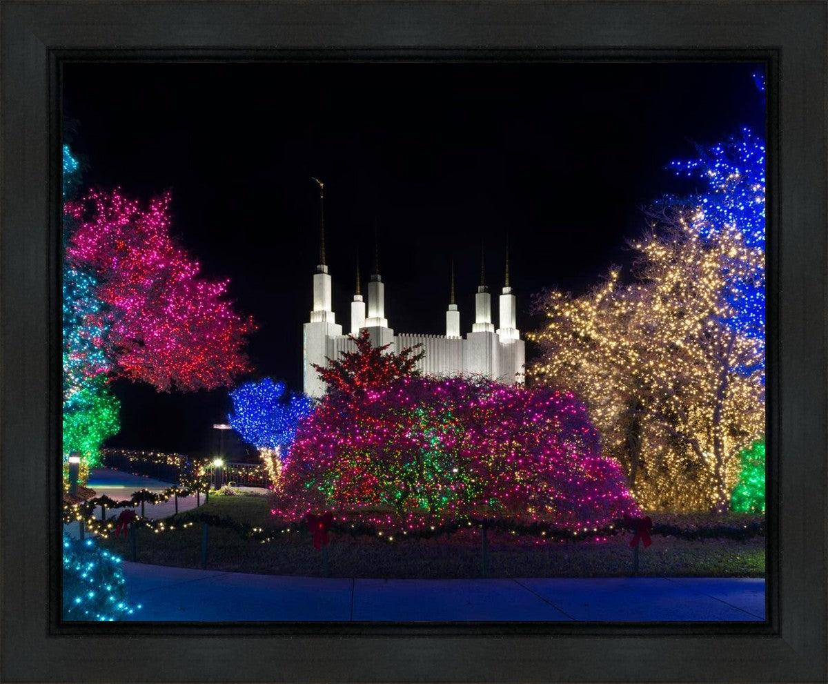 Washington DC Temple Colorful Christmas Gallery Wrap