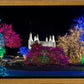Washington DC Temple Colorful Christmas