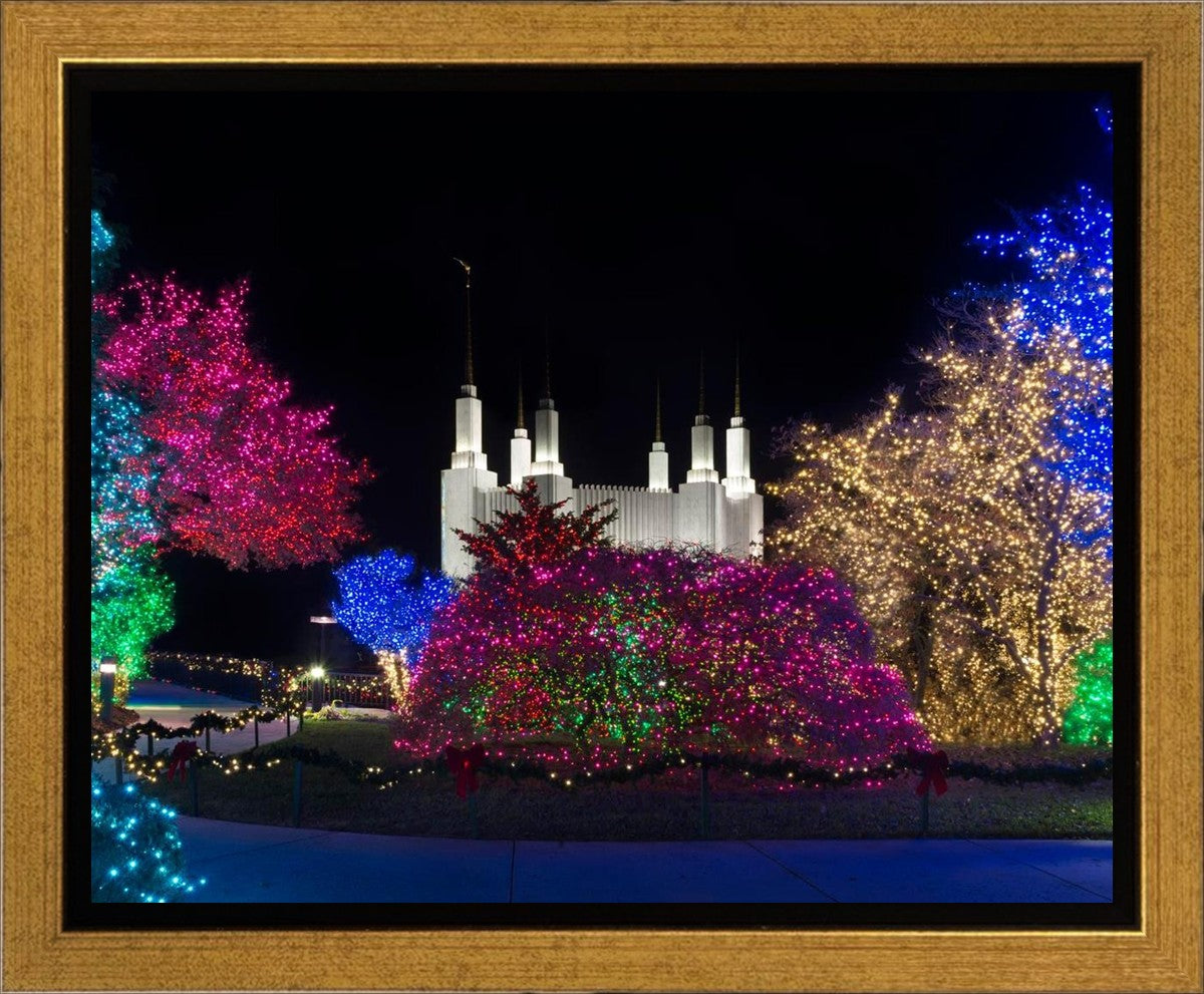 Washington DC Temple Colorful Christmas Gallery Wrap