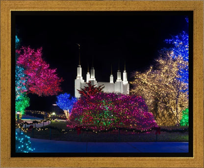 Washington DC Temple Colorful Christmas