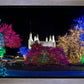 Washington DC Temple Colorful Christmas