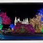 Washington DC Temple Colorful Christmas