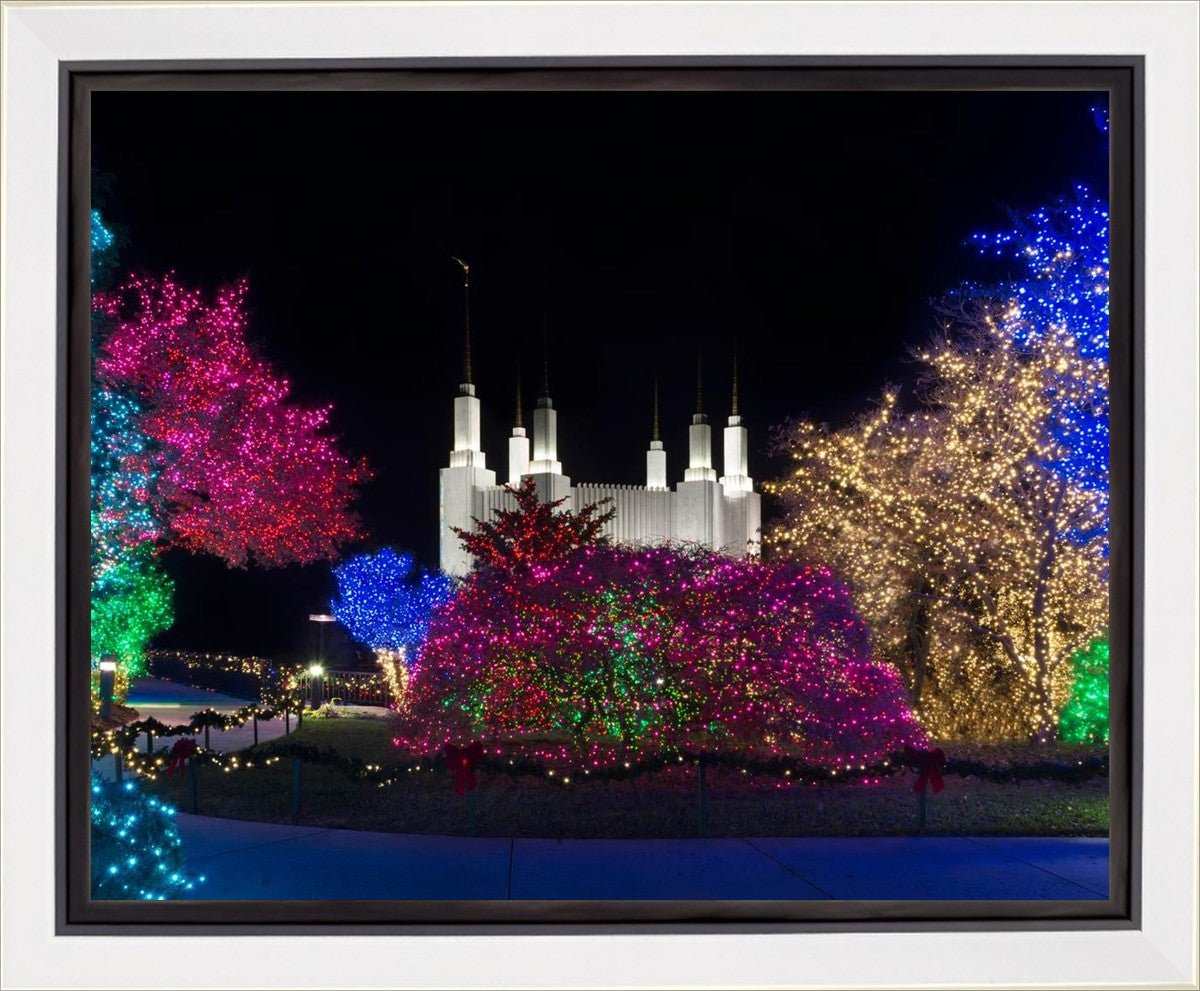 Washington DC Temple Colorful Christmas Gallery Wrap