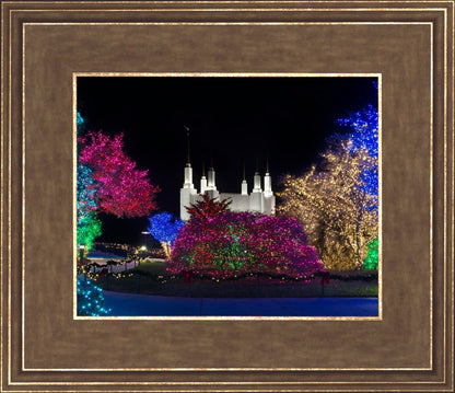Washington DC Temple Colorful Christmas