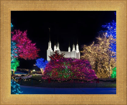 Washington DC Temple Colorful Christmas