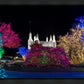 Washington DC Temple Colorful Christmas
