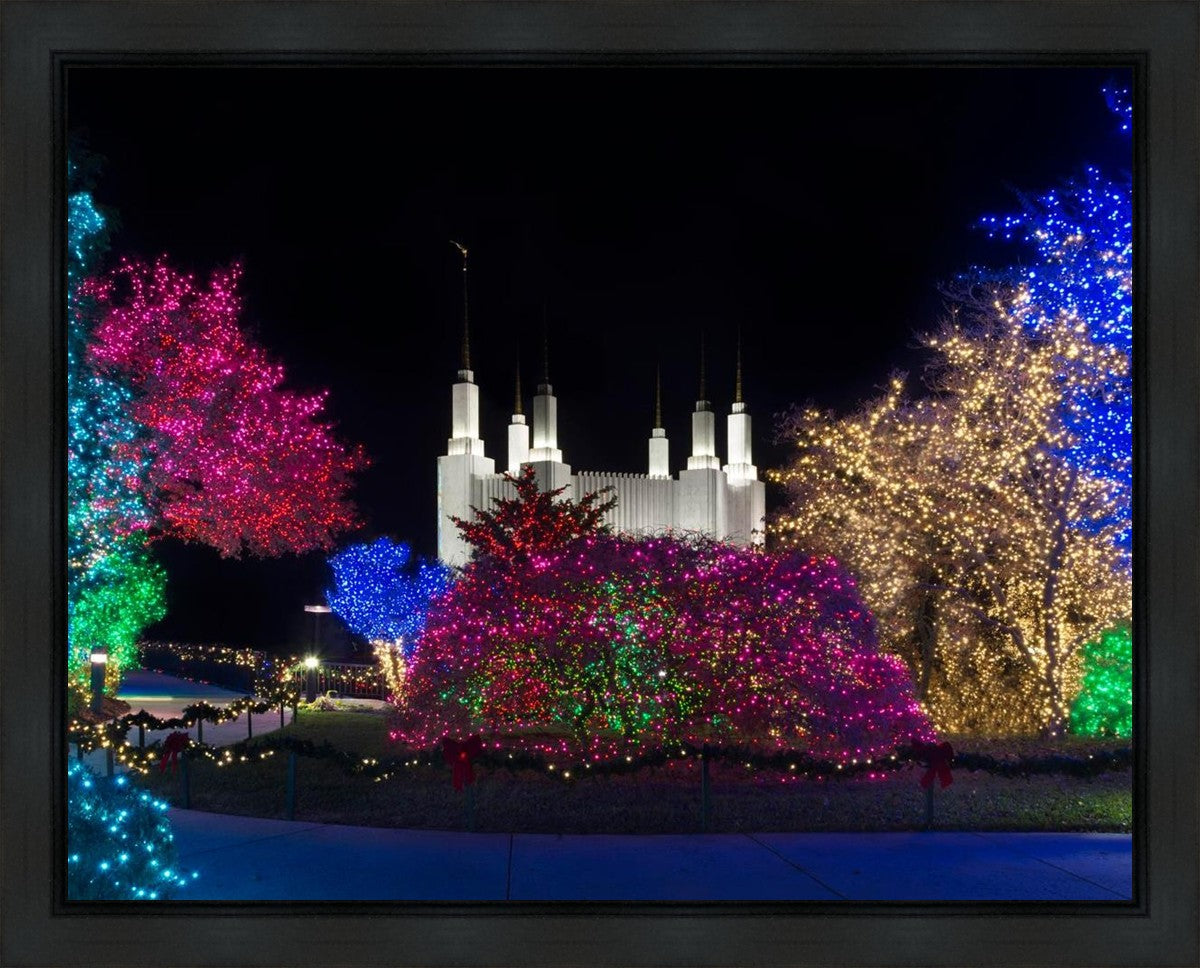 Washington DC Temple Colorful Christmas Gallery Wrap