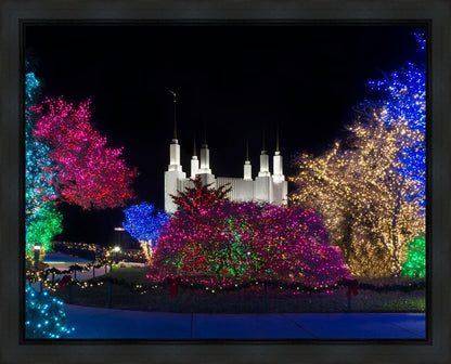 Washington DC Temple Colorful Christmas