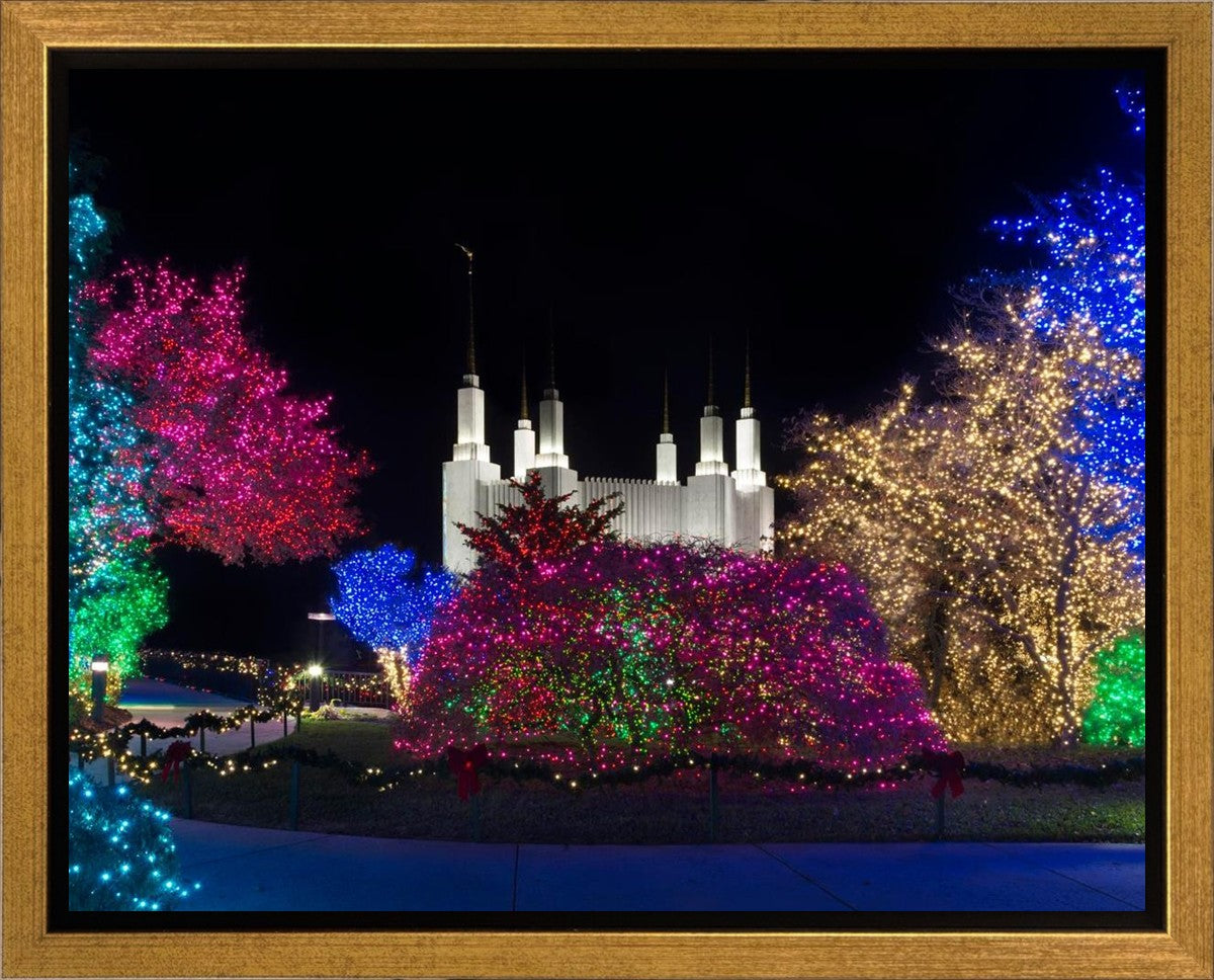 Washington DC Temple Colorful Christmas Gallery Wrap