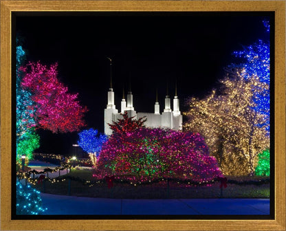 Washington DC Temple Colorful Christmas