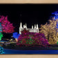 Washington DC Temple Colorful Christmas
