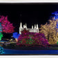 Washington DC Temple Colorful Christmas