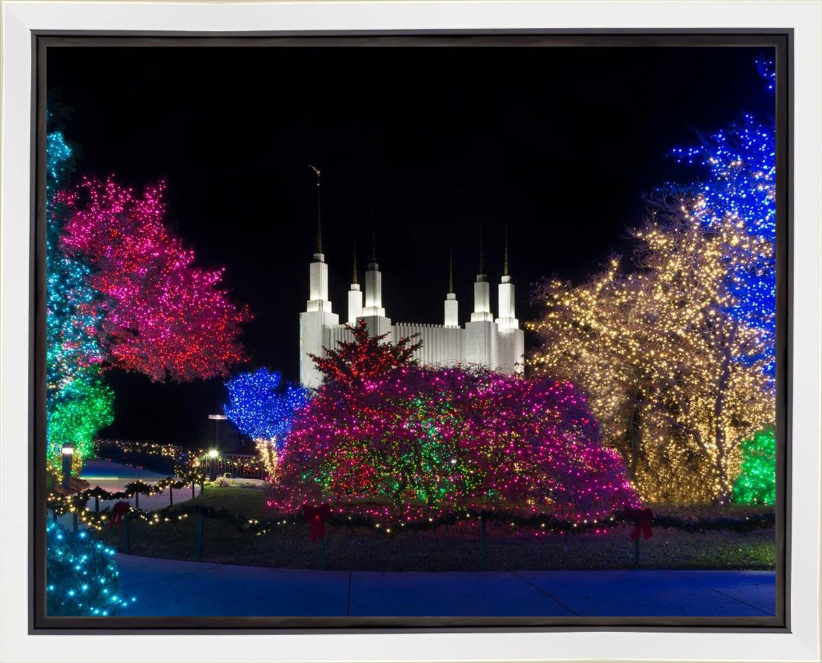 Washington DC Temple Colorful Christmas Gallery Wrap